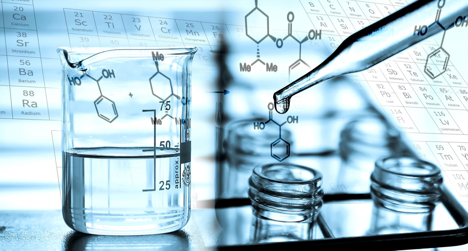 Bio-Based Chemical Market