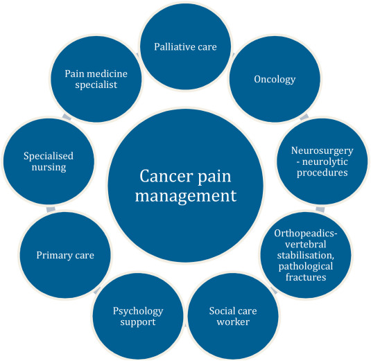 Cancer Pain Therapeutics Market Is Booming Worldwide | ProStrakan Group, Grunenthal Group, Hospira