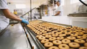 Food Manufacturing Software Market Current Status and Future Prospects