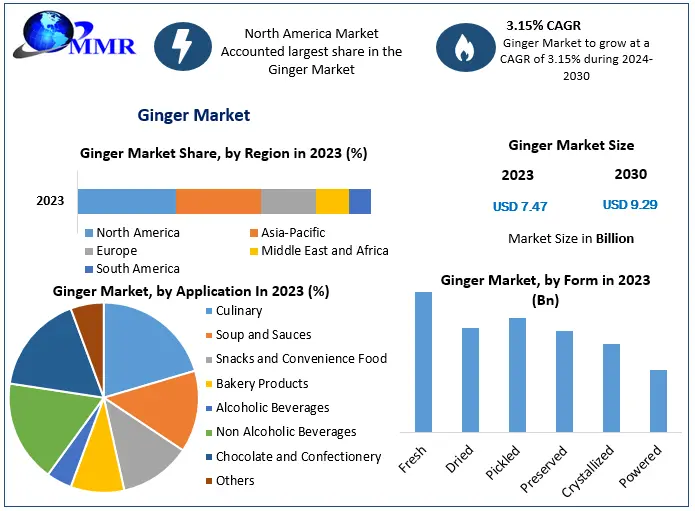 Ginger Market Set to Reach USD 9.29 Bn by 2030, Growing at 3.15% CAGR