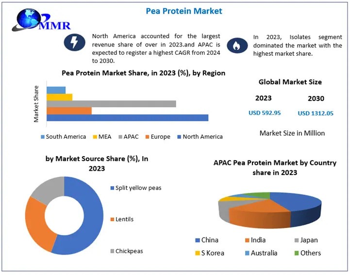 Pea Protein Market Industry Size, Growth, Top Manufacturers, Segments and Forecast 2030