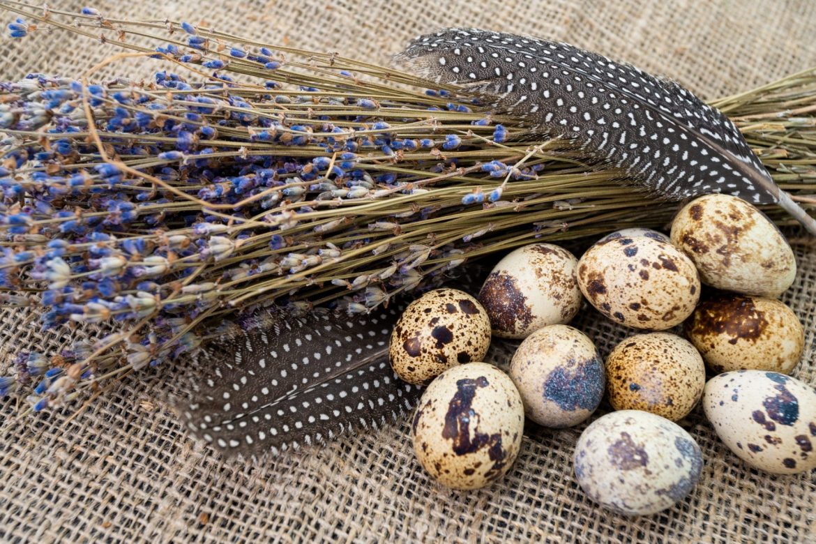 Quail Eggs Market Expecting Huge Demand in Upcoming Years