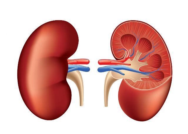 Renal Anemia Treatment Market to See Massive Growth by 2030 | Major Giants