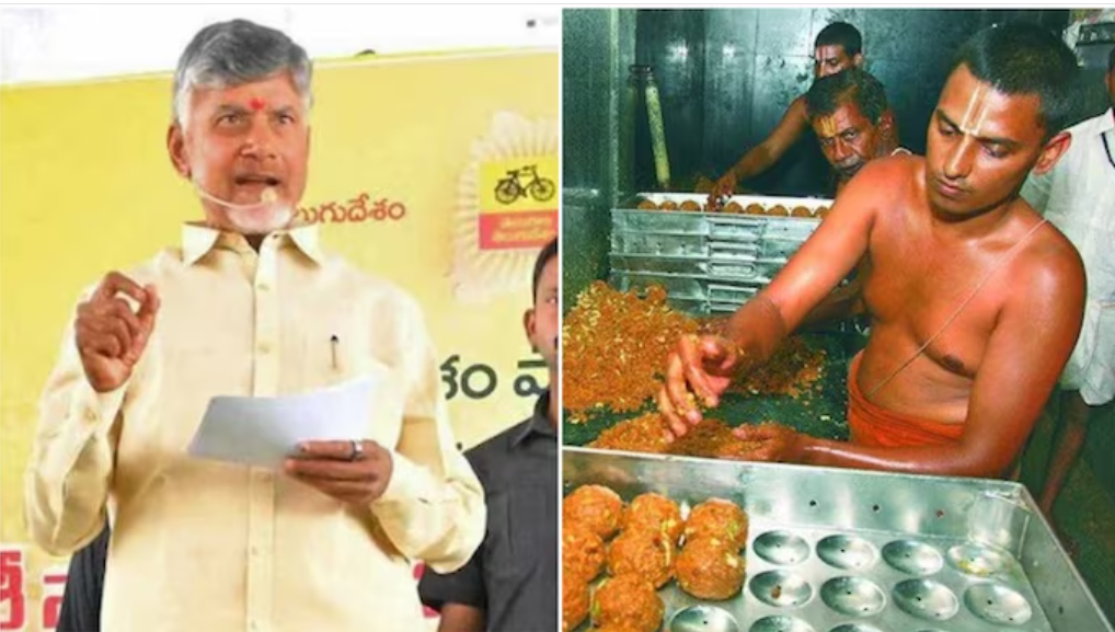 Amid Controversy, Andhra Pradesh Reassesses Tirupati Laddoos Following Reports of Adulteration