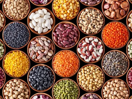 Seeds Market to reach nearly USD 111.76 Billion by 2030