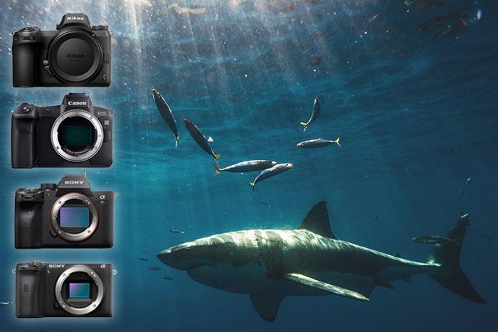 Underwater Video Camera Market Study Reveals New Development Opportunities till 2030