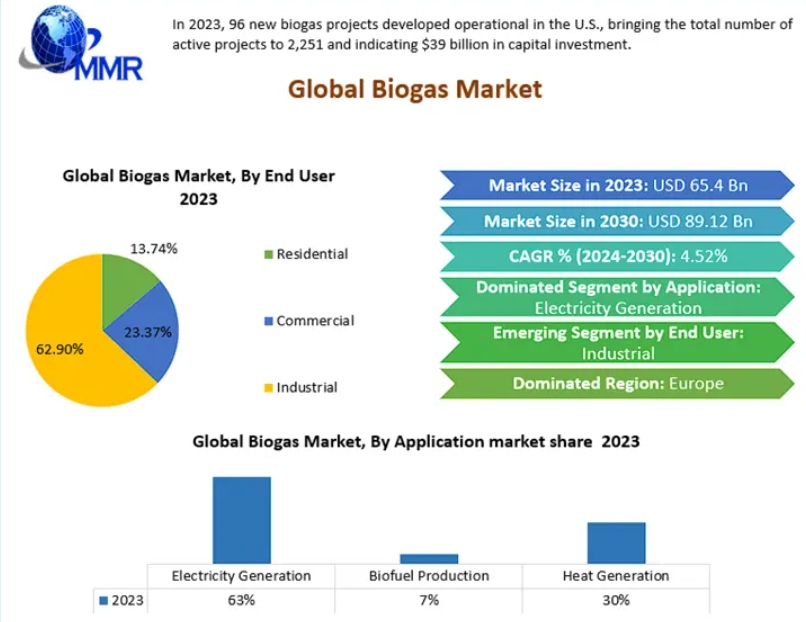 Biogas Market size was valued at USD 65.4 Billion in 2023 and the total Biogas Market revenue is expected to grow at a CAGR of 4.52 percentage from 2024 to 2030